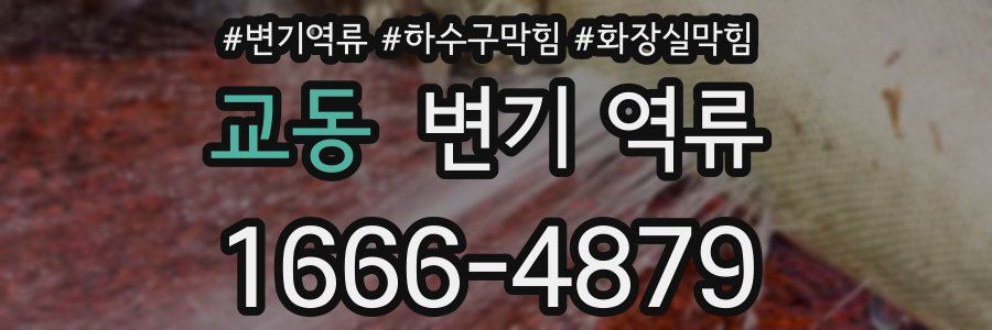 교동 변기 역류