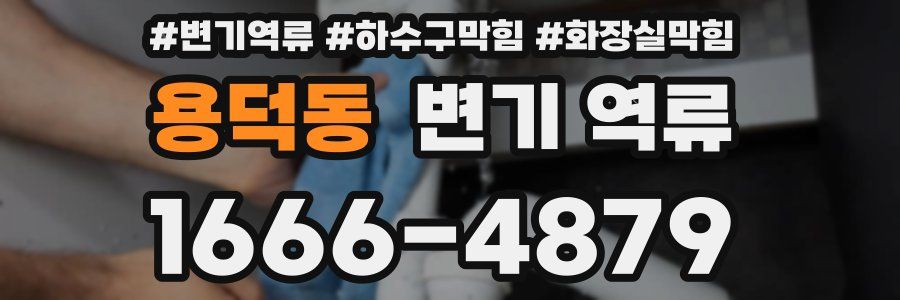 용덕동 변기 역류