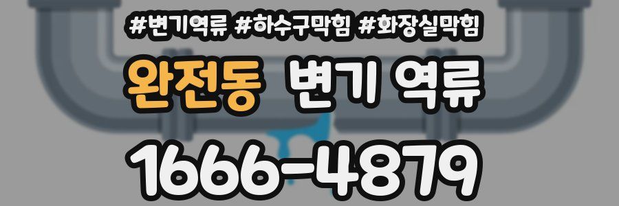 완전동 변기 역류