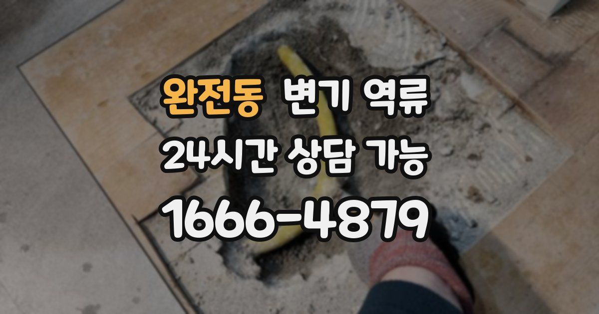 완전동 변기 역류
