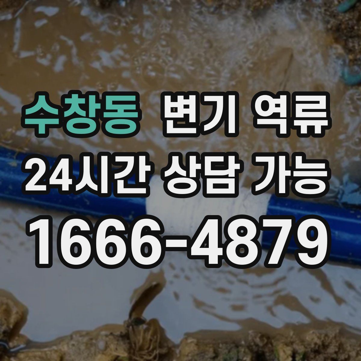 수창동 변기 역류 다중 이용 시설에서 예방이 중요한 이유