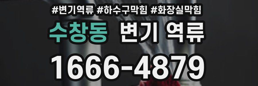 수창동 변기 역류