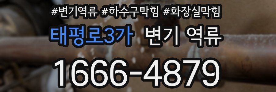 태평로3가 변기 역류