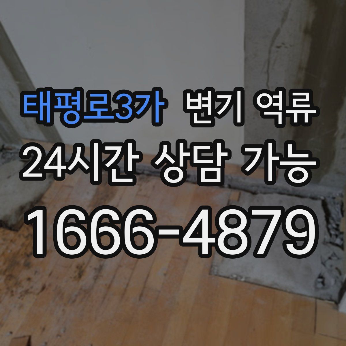 태평로3가 변기 역류