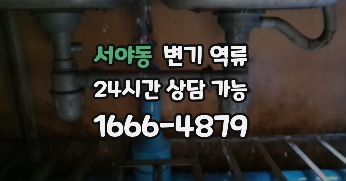 서야동 변기 역류