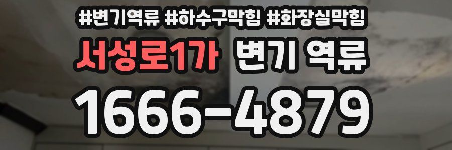 서성로1가 변기 역류