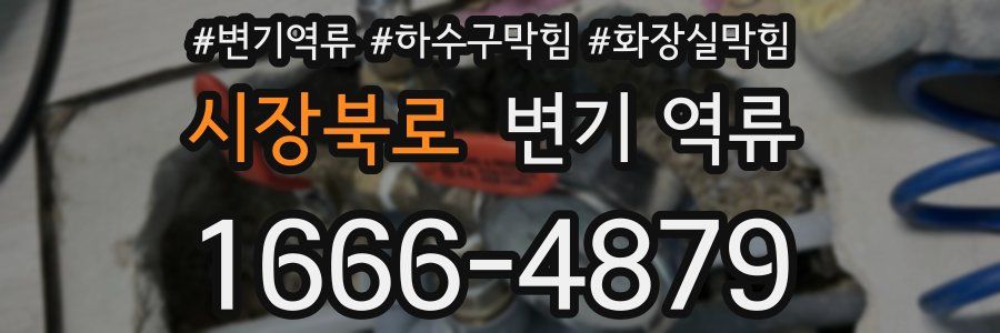 시장북로 변기 역류