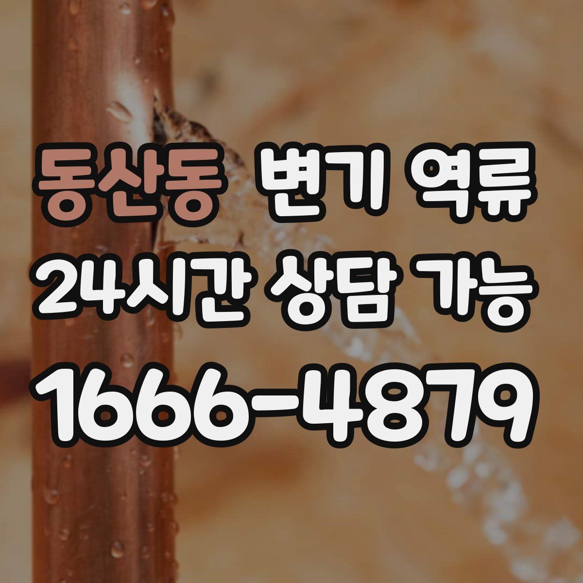 동산동 변기 역류