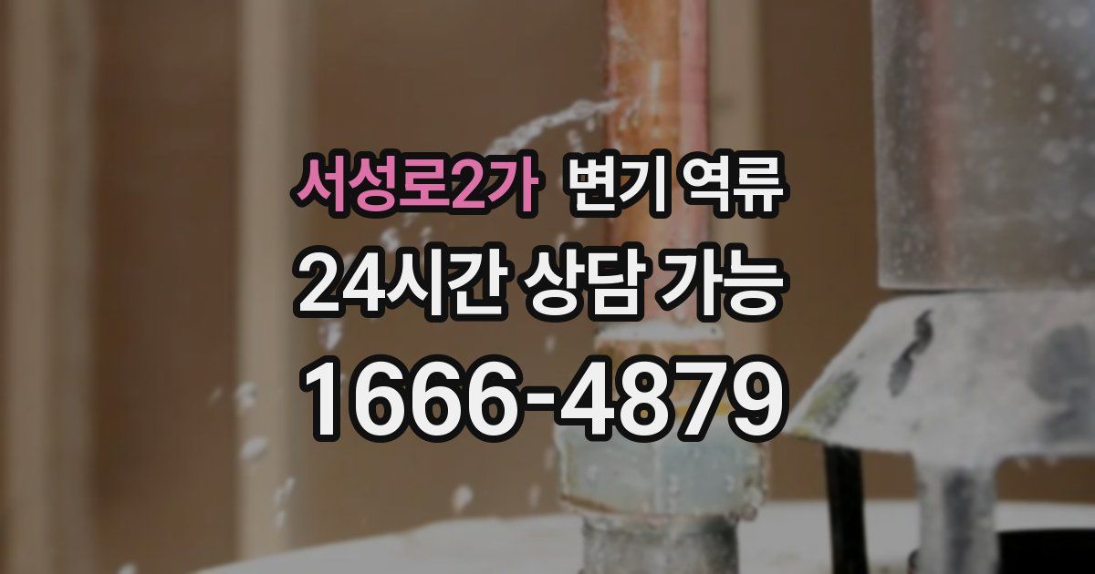 서성로2가 변기 역류