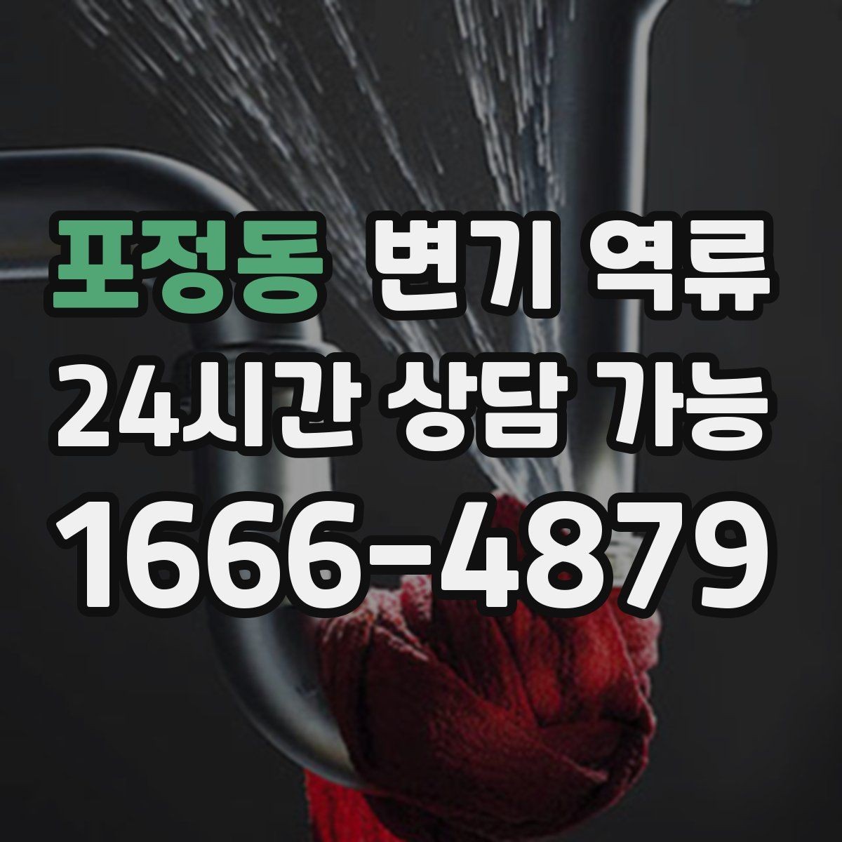 포정동 변기 역류 통기 문제로 생기는 증상 정리