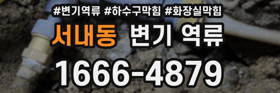 서내동 변기 역류