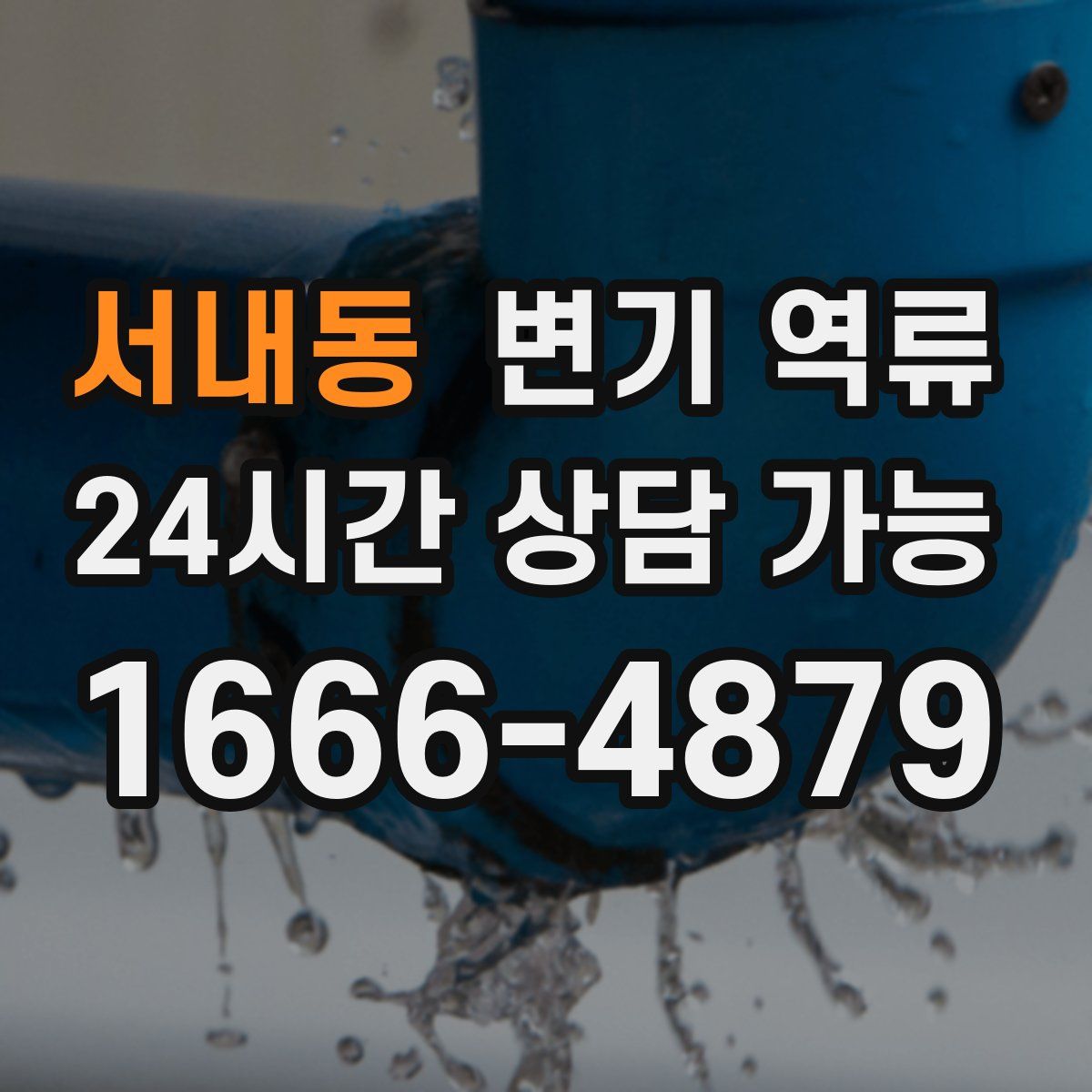 서내동 변기 역류