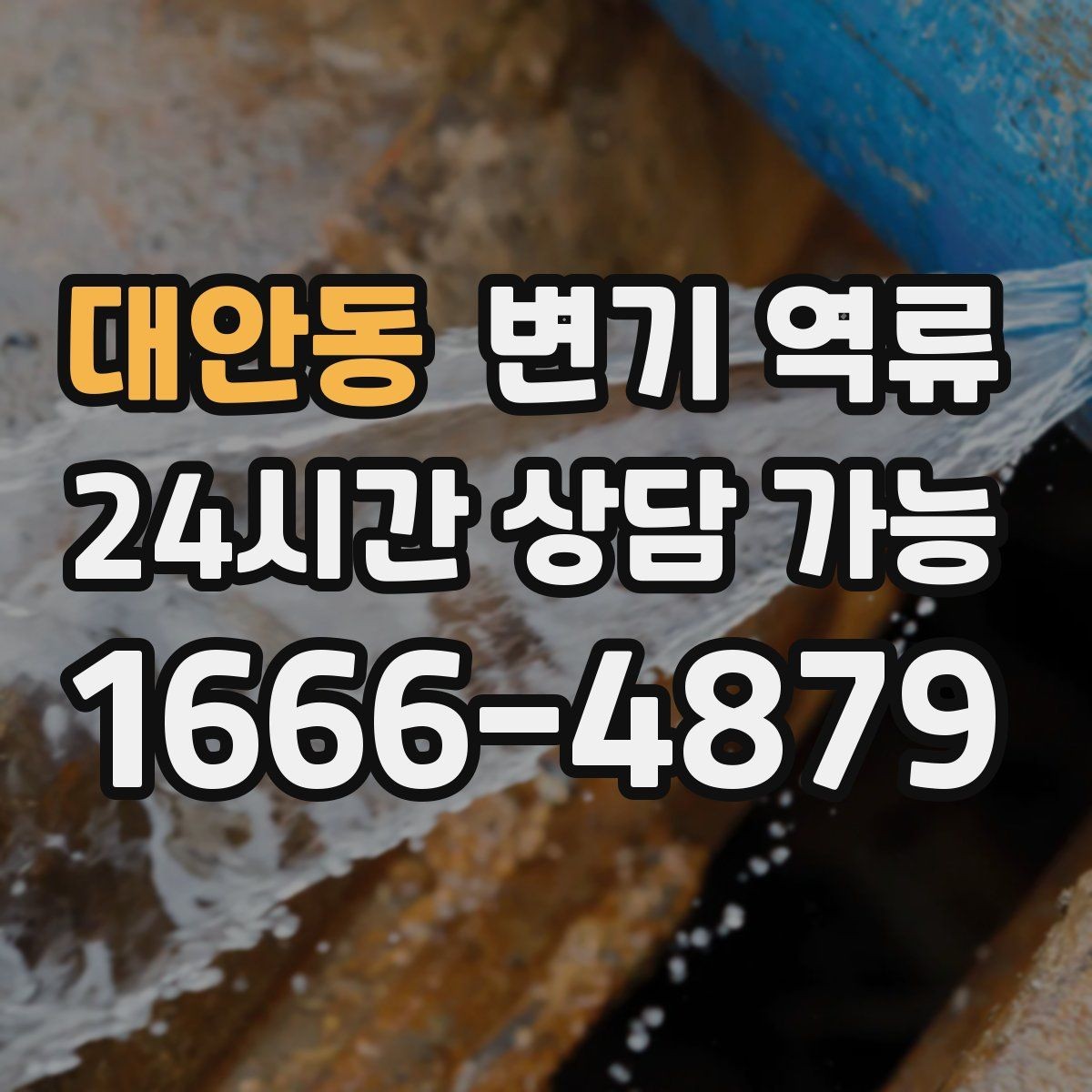 대안동 변기 역류 공용 수직관 문제일 때 나타나는 징후