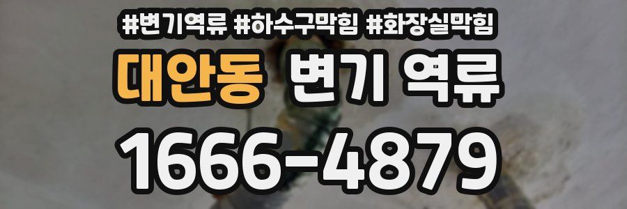 대안동 변기 역류