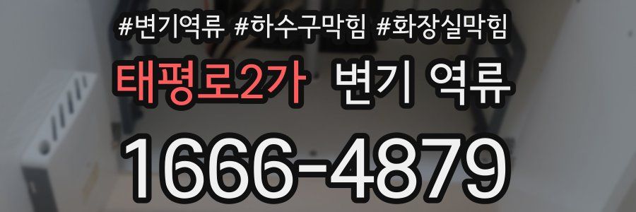 태평로2가 변기 역류