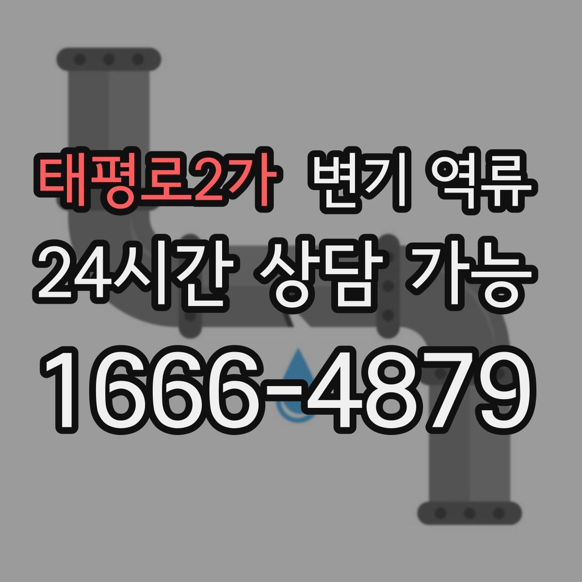 태평로2가 변기 역류