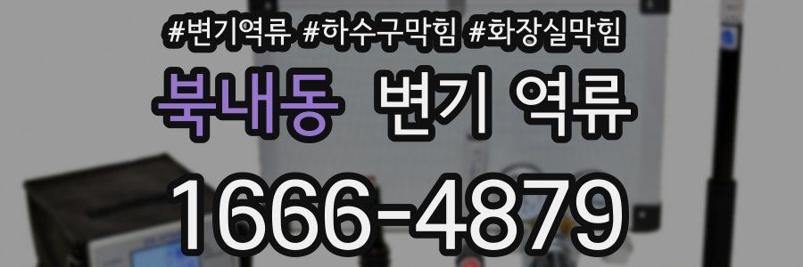 북내동 변기 역류