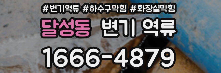 달성동 변기 역류