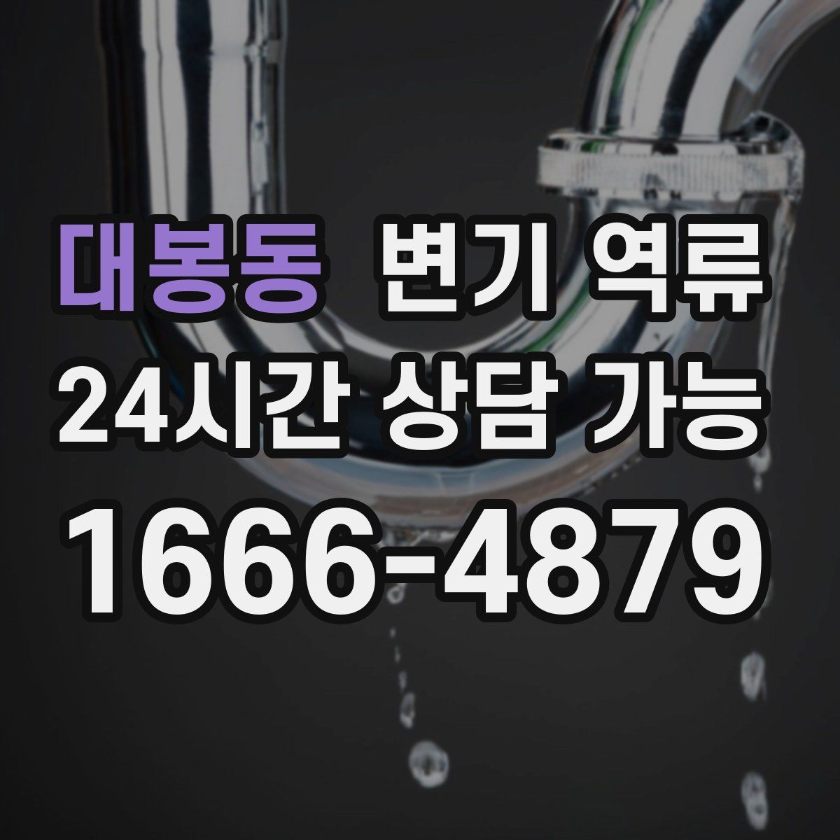 대봉동 변기 역류