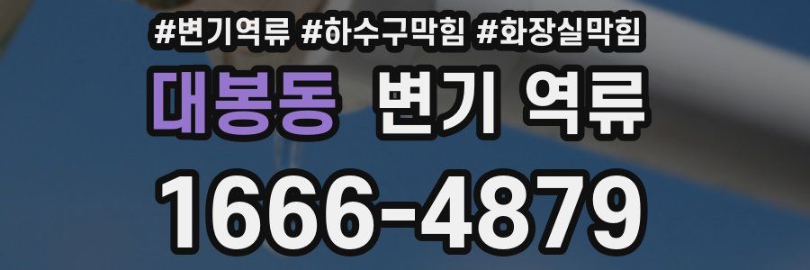 대봉동 변기 역류