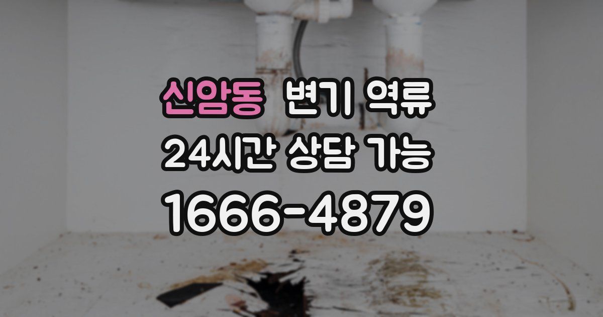 신암동 변기 역류