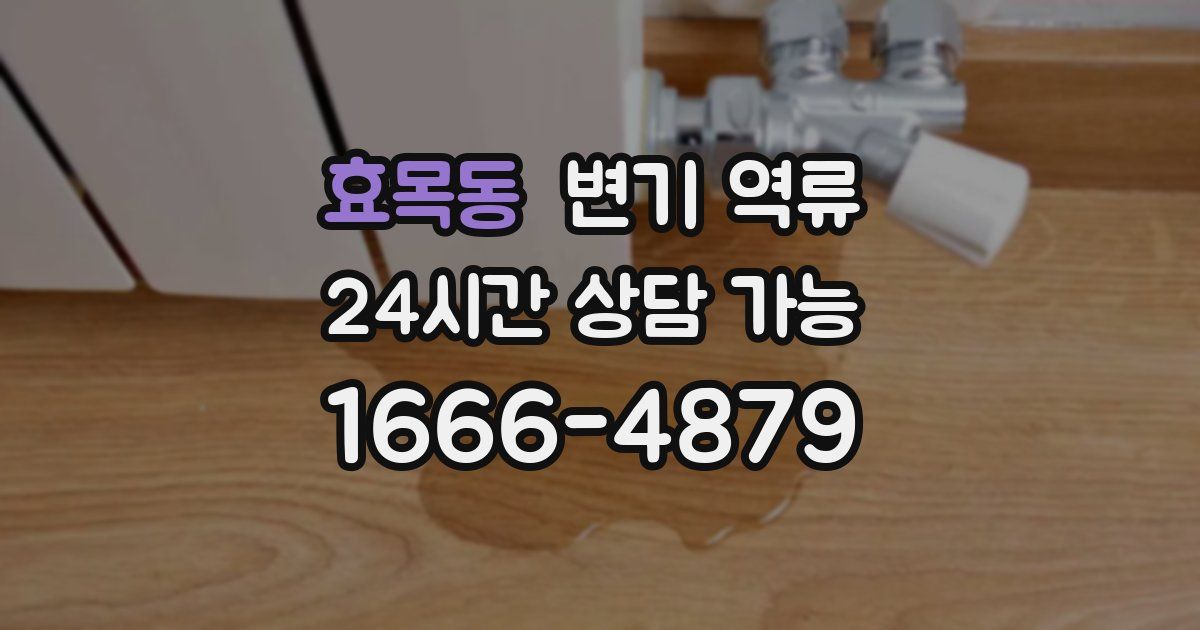 효목동 변기 역류