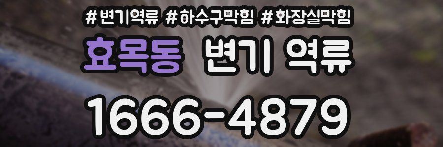 효목동 변기 역류