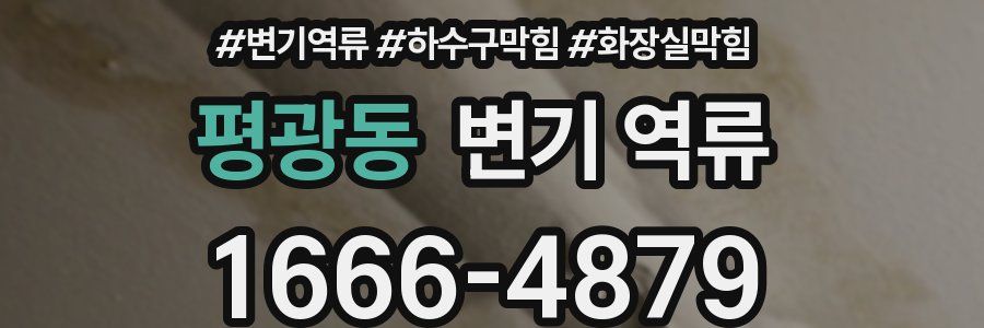 평광동 변기 역류