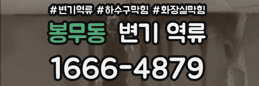 봉무동 변기 역류