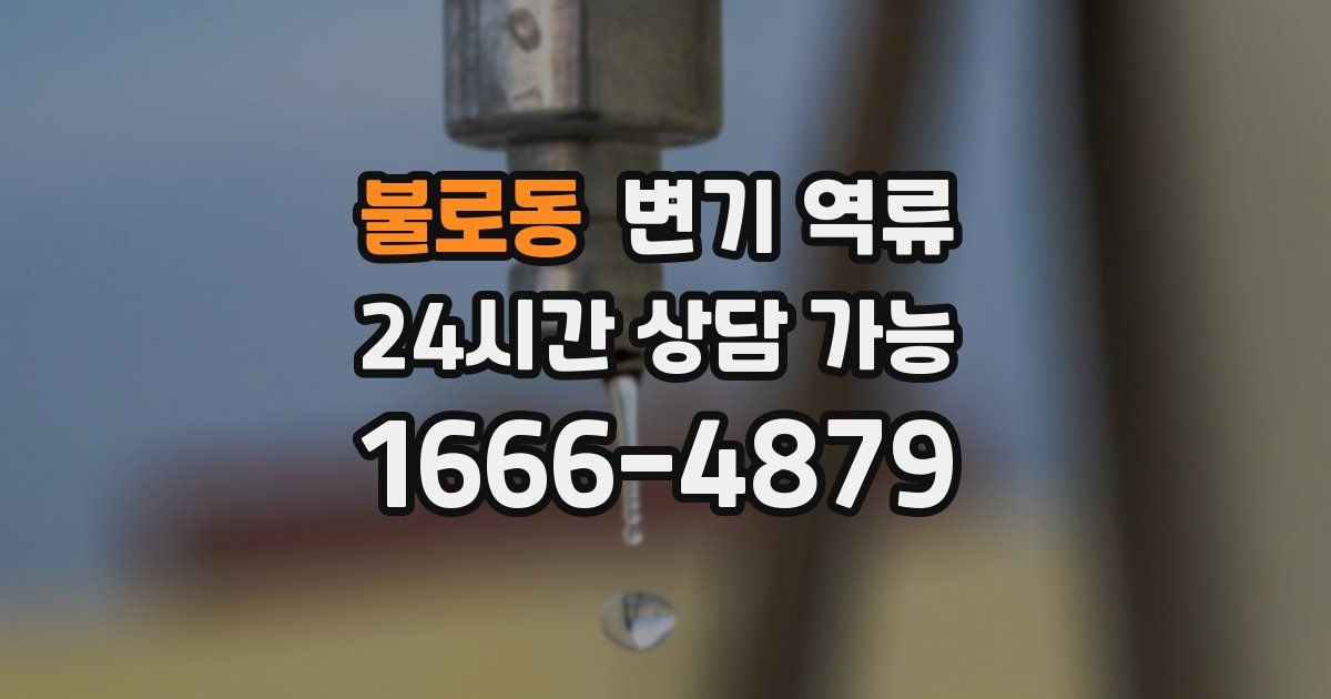 불로동 변기 역류