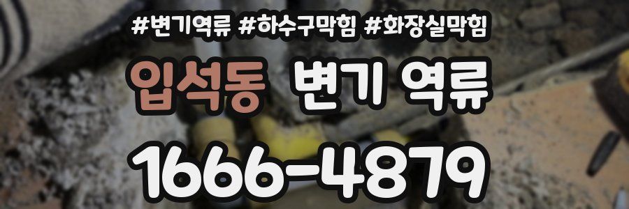 입석동 변기 역류