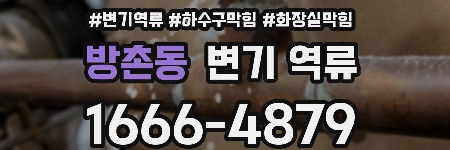 방촌동 변기 역류