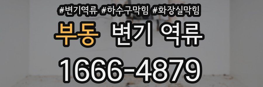 부동 변기 역류