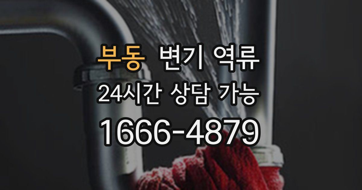 부동 변기 역류