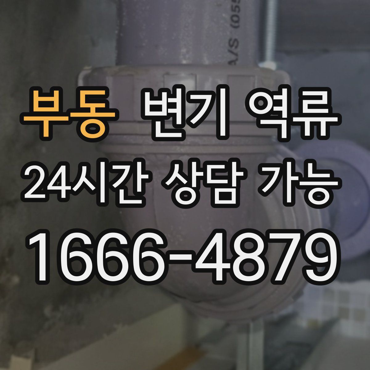 부동 변기 역류