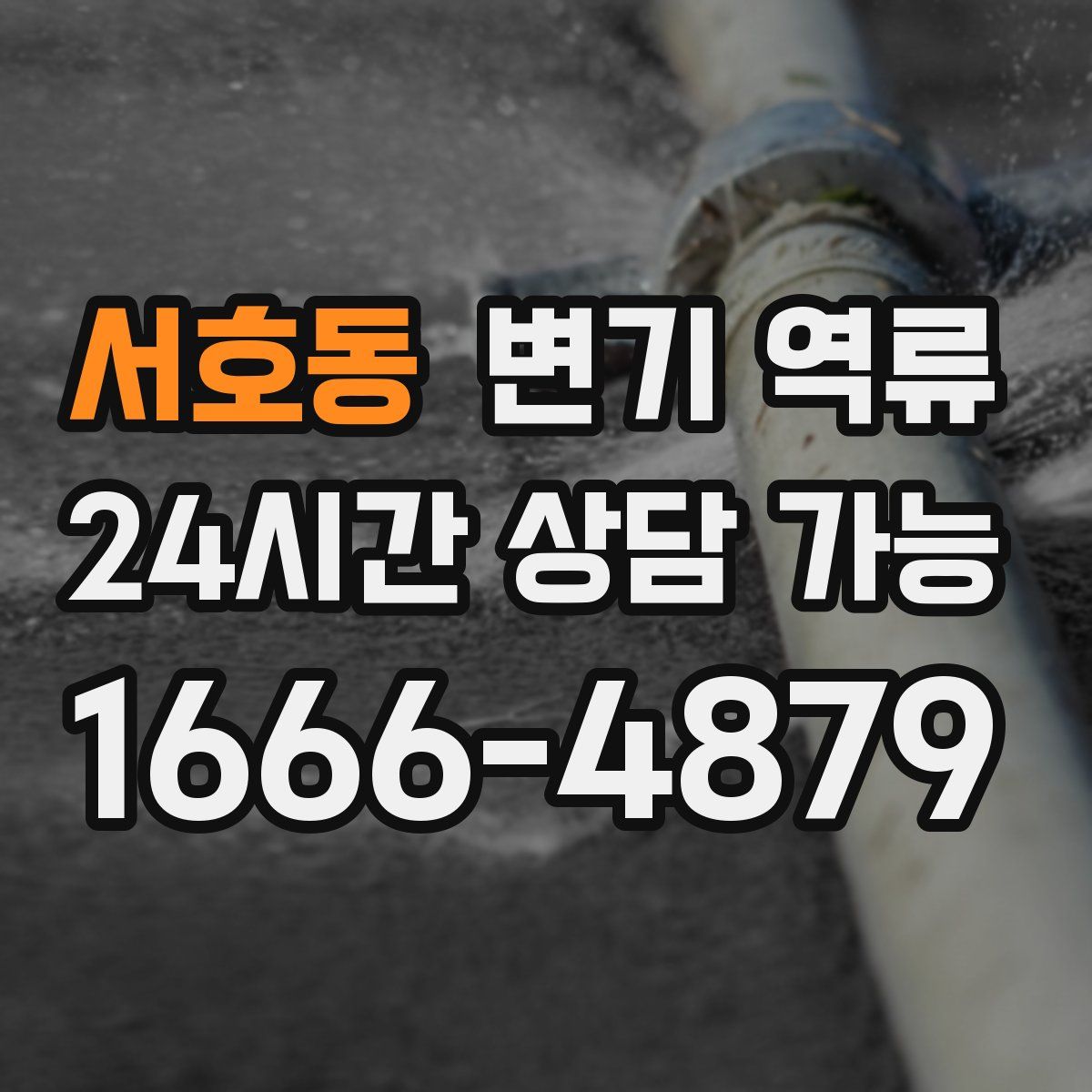 서호동 변기 역류