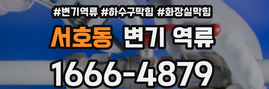 서호동 변기 역류