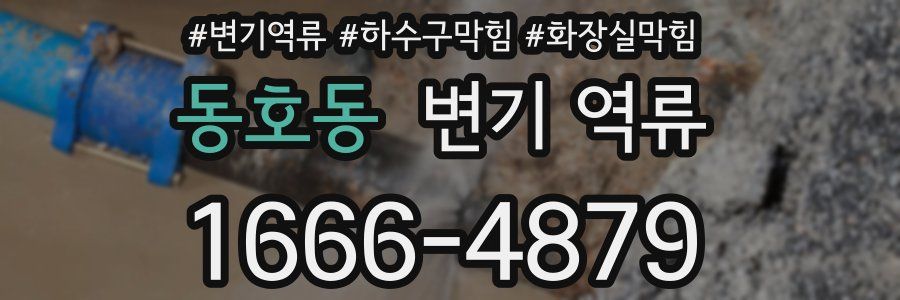 동호동 변기 역류