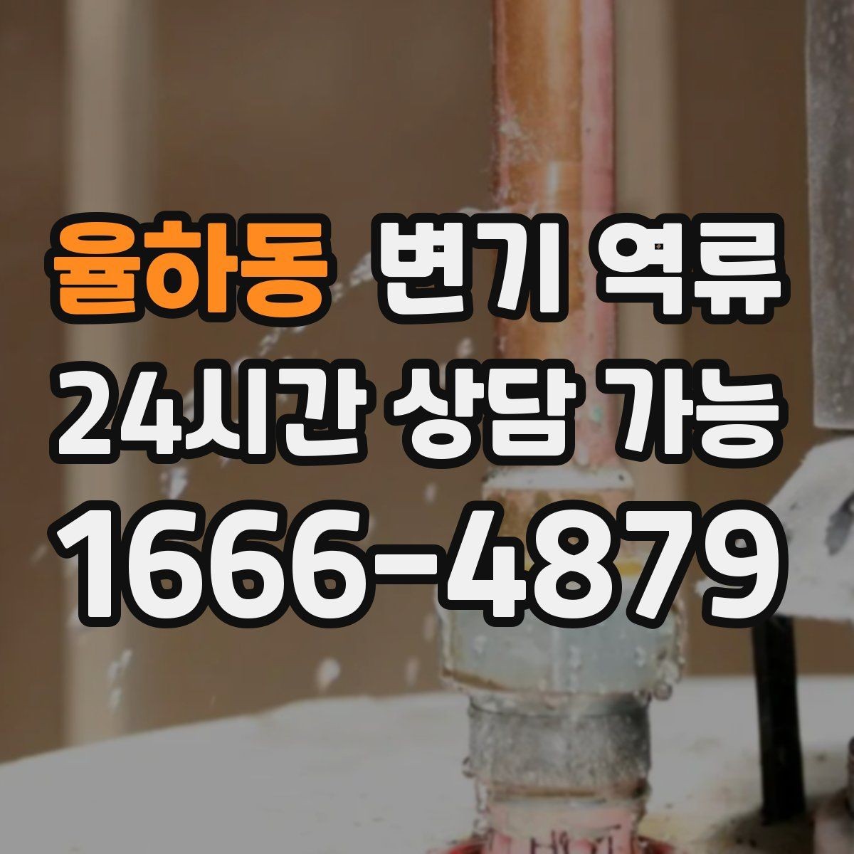 율하동 변기 역류 욕실 물 사용을 줄여야 하는 상황
