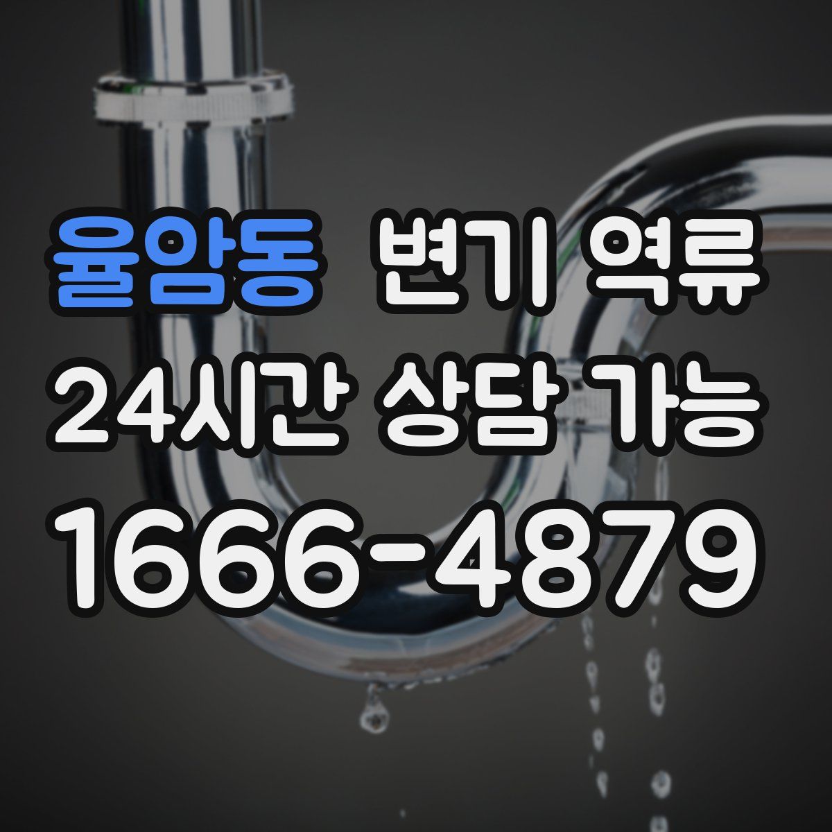 율암동 변기 역류