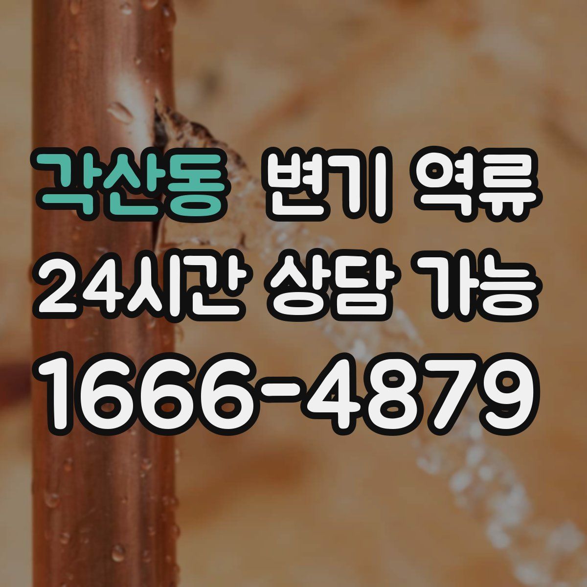 각산동 변기 역류