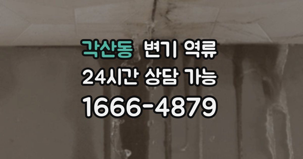 각산동 변기 역류