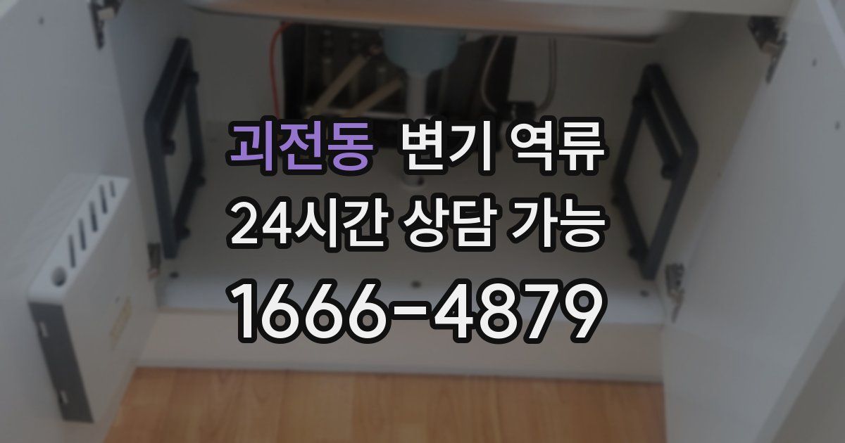 괴전동 변기 역류