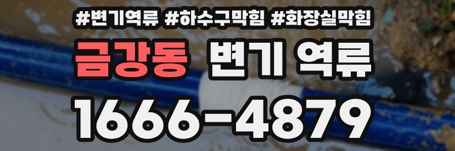 금강동 변기 역류