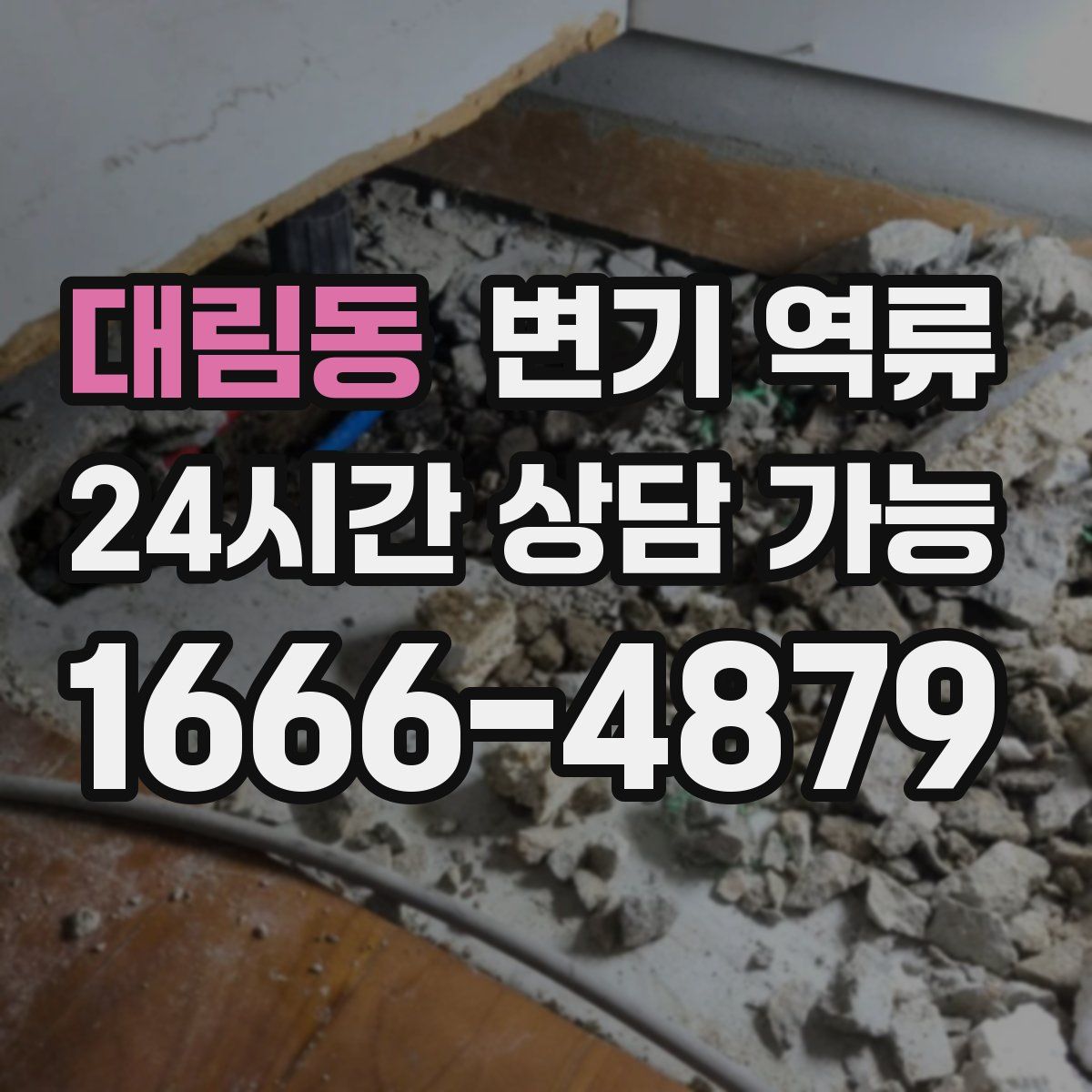 대림동 변기 역류