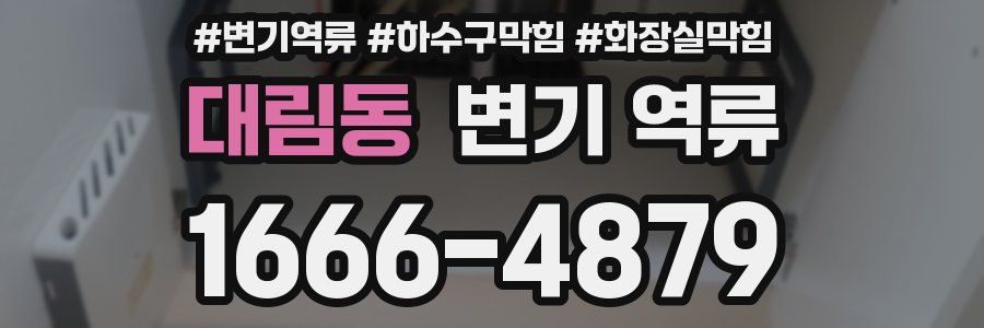 대림동 변기 역류