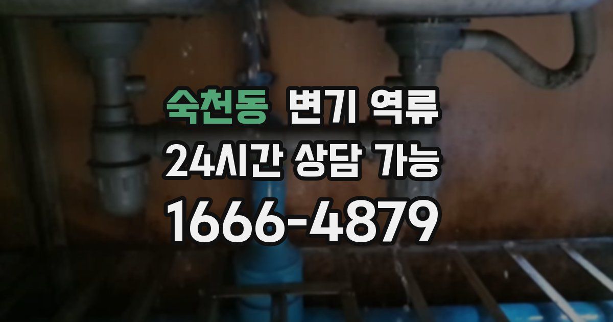 숙천동 변기 역류