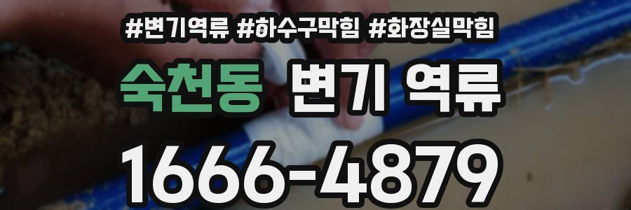 숙천동 변기 역류