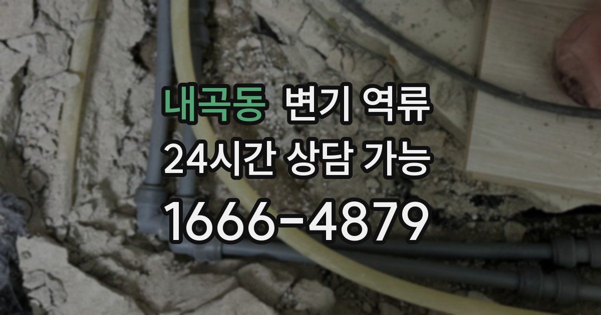 내곡동 변기 역류