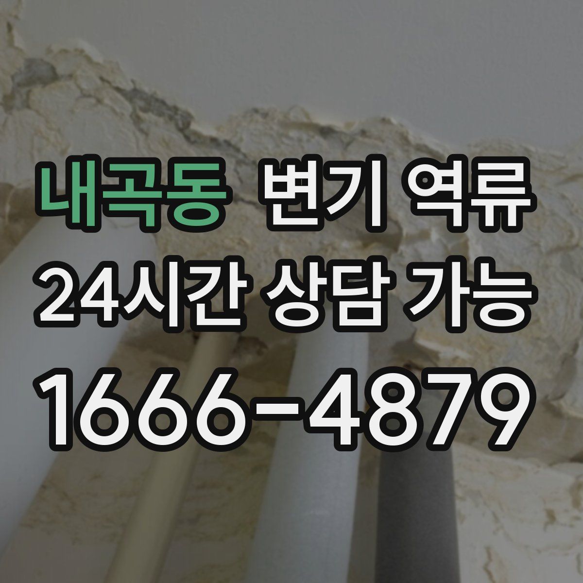 내곡동 변기 역류